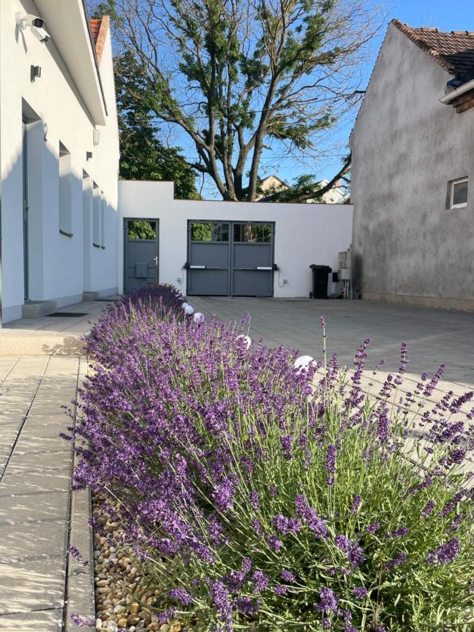 Dream Apartman Levél Eksteriør billede
