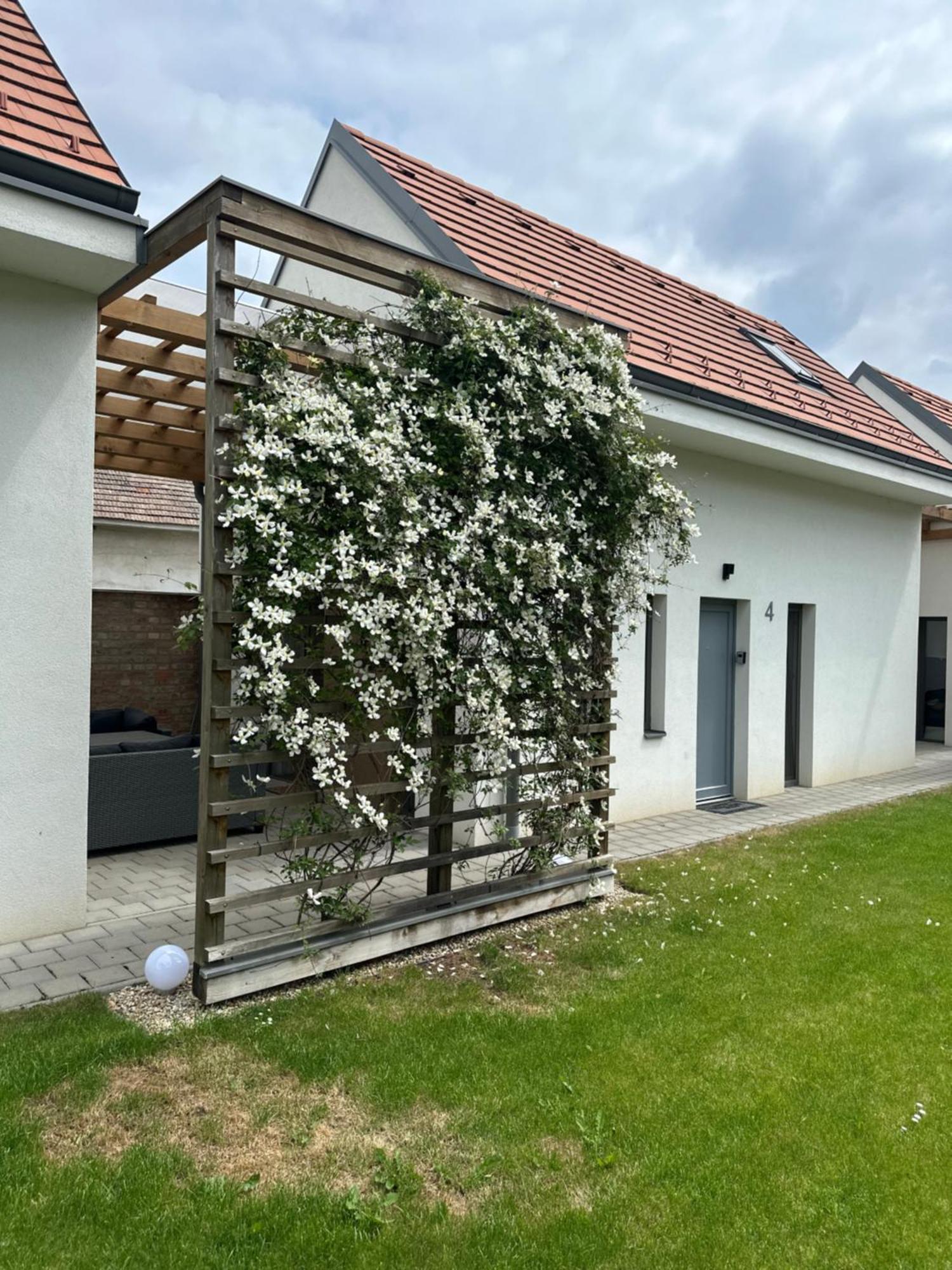 Dream Apartman Levél Eksteriør billede